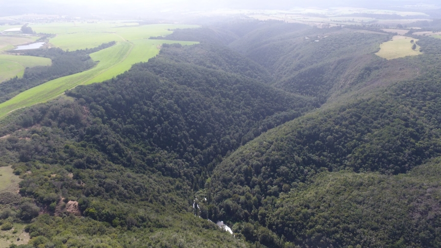  Bedroom Property for Sale in Knysna Rural Western Cape